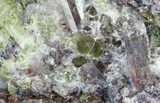 Apatite Crystals with Magnetite & Epidote - Durango, Mexico #64023-3